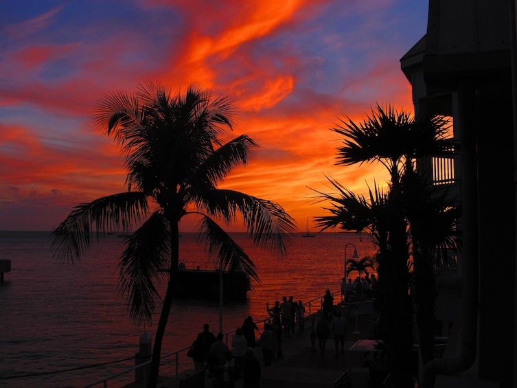 Key West & Parasailing from Fort Lauderdale