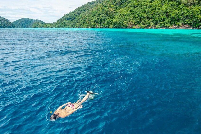 A person swimming in a clear blue sea with a forested island in the background. 4