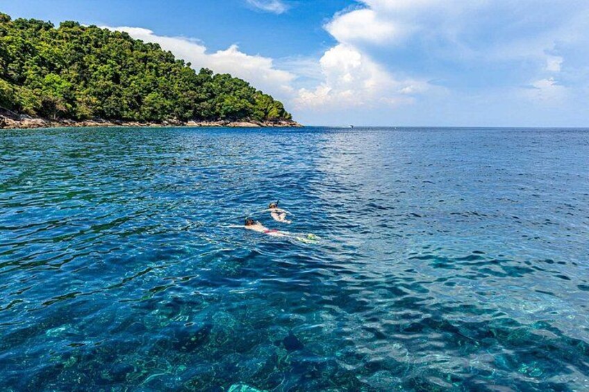 A clear blue sea with a swimmer in the foreground and a forested coastline in the background. 5