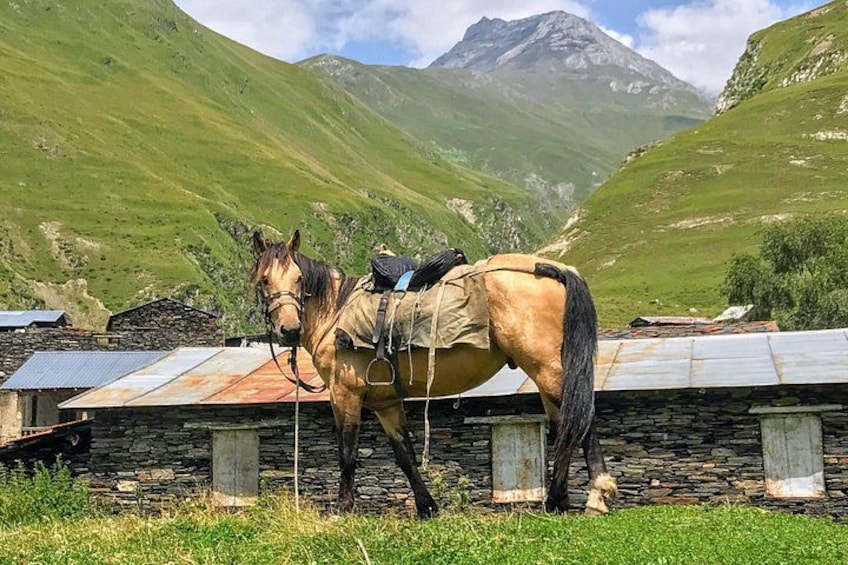 A horse standing in a grassy area with a stone building and mountains in the background. 1