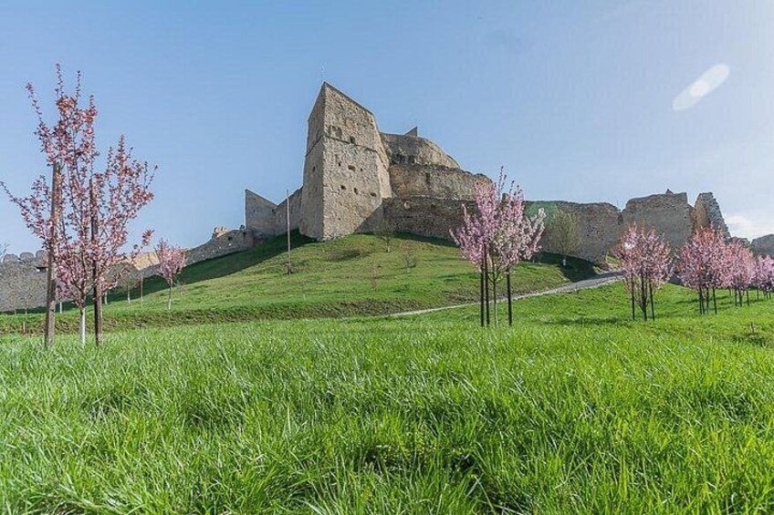 Een historisch stenen kasteel op een groene heuvel met bloeiende bomen. 4