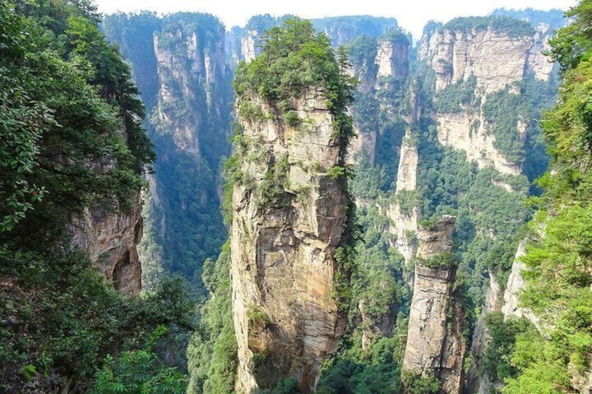 Un canyon aux falaises imposantes et à la végétation luxuriante. 3
