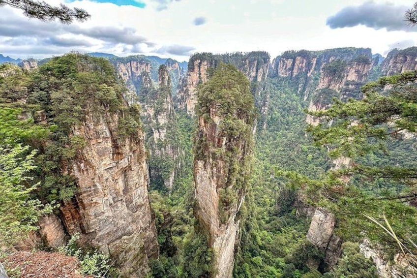 1-Day All-inclusive Tour to Forest Park, Mt. Avatar, Glass Bridge 2