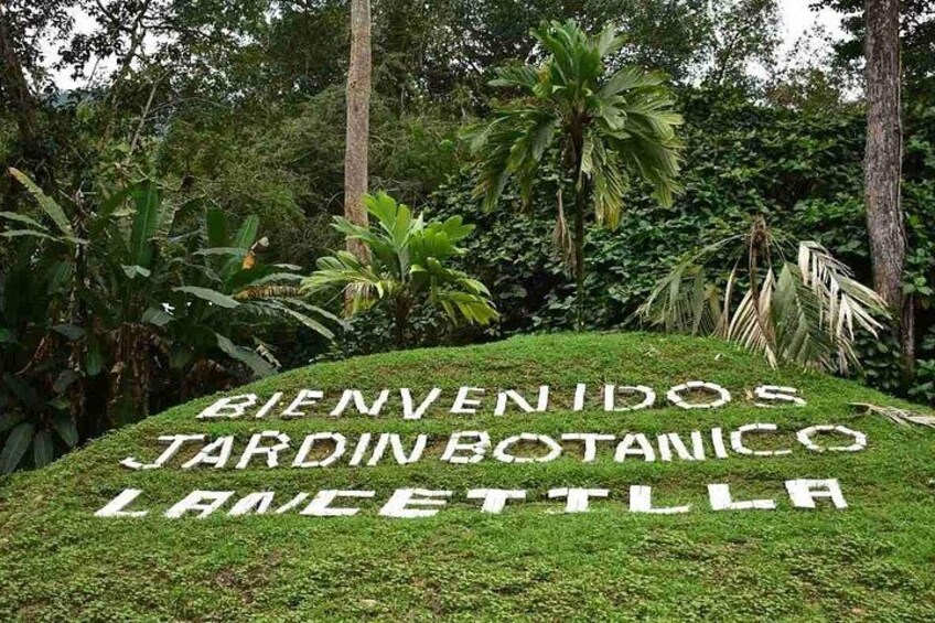 Lancetilla Botanical Garden from San Pedro Sula 3