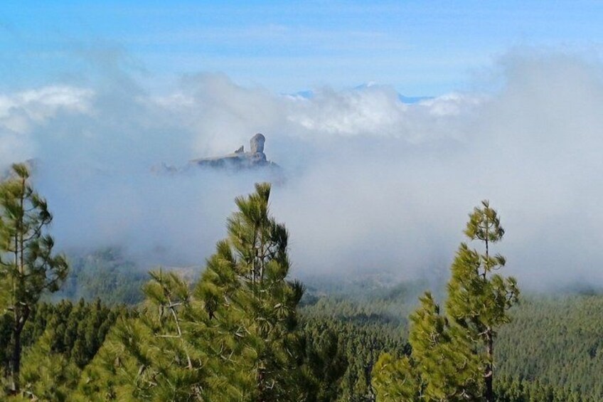 Gran Canaria highlights & hidden gems with local guide Sky Rebels 4