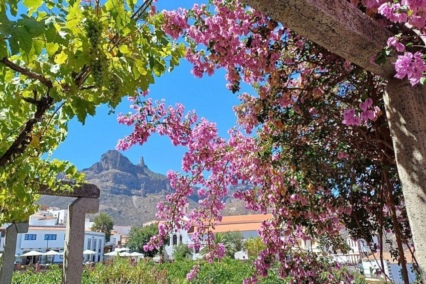 Tejeda 1