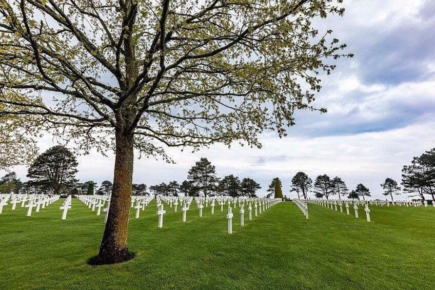 Normandy American Cemetery 3