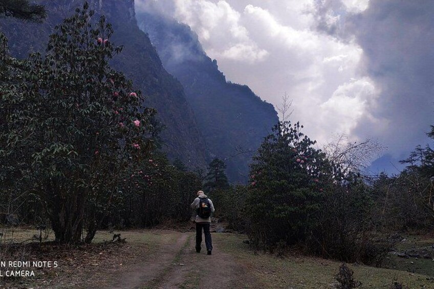 A person hiking on a dirt path surrounded by trees and mountains. 2
