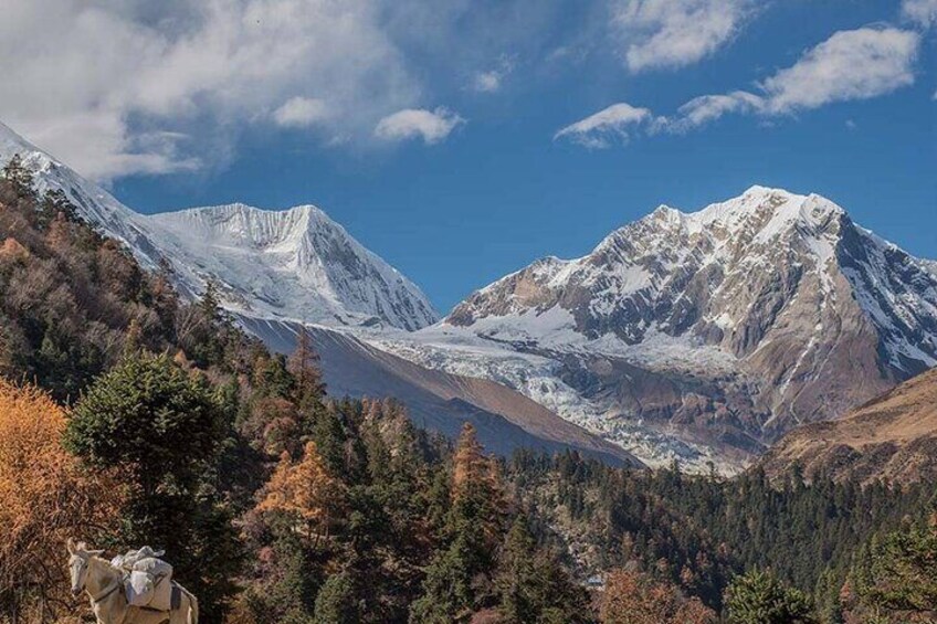 Makalu Base Camp Trekking (16 days) 3
