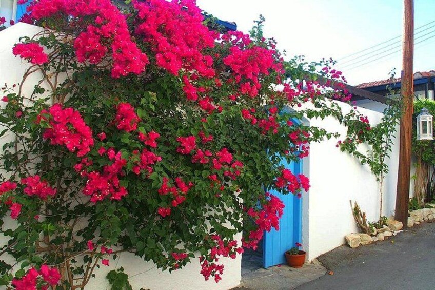 Laneia Village 2