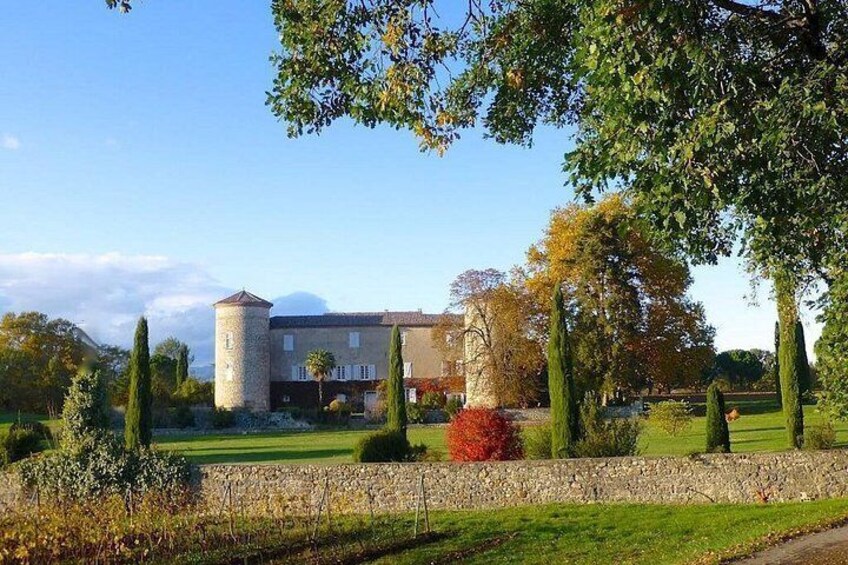 Castle of Selve - The Castle 2