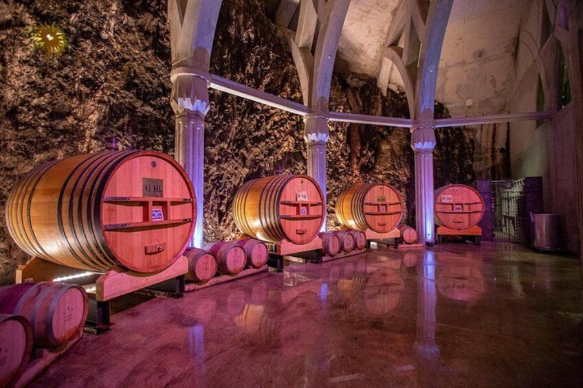 Vineyard of the Alpilles by bike 3