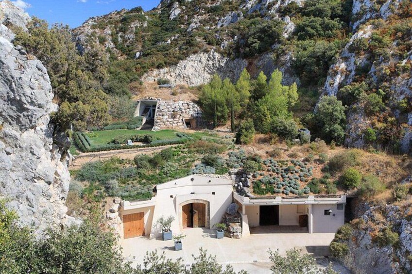 Vineyard of the Alpilles by bike 2