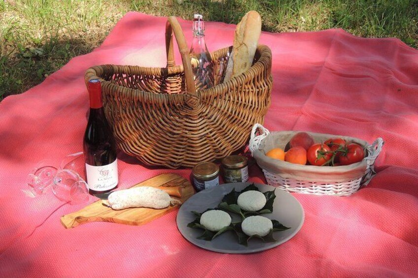 Picnic at the Château de la Selve!