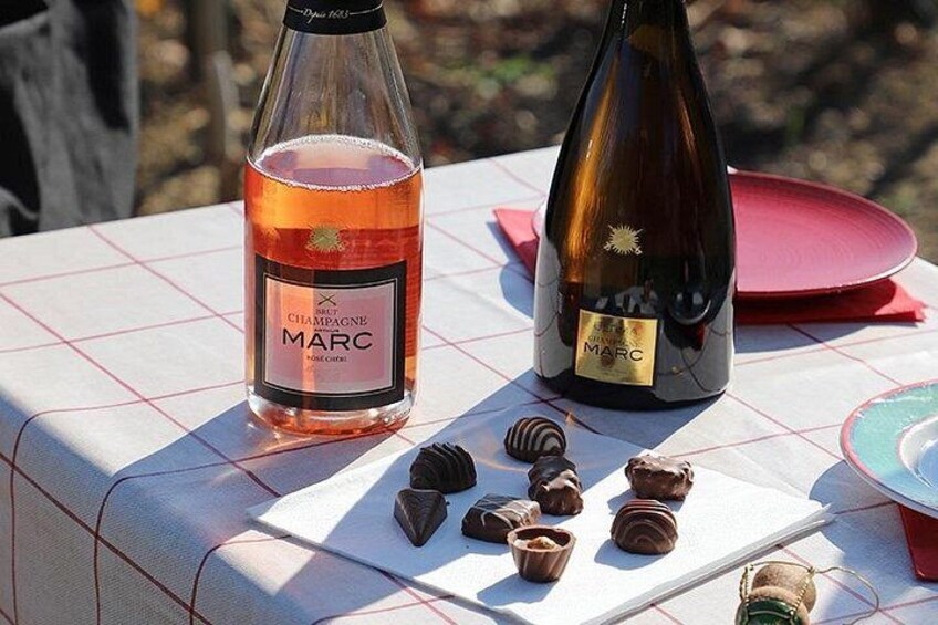 A unique sensory experience in the vineyards 4