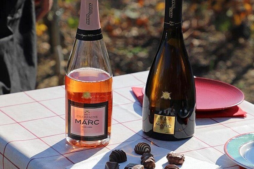 A unique sensory experience in the vineyards 1