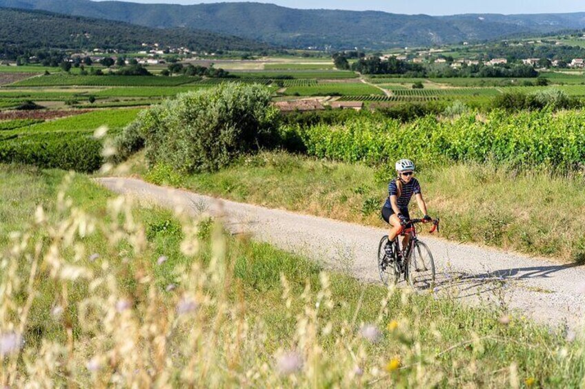 A cyclist on a gravel path surrounded by fields and distant hills. 1