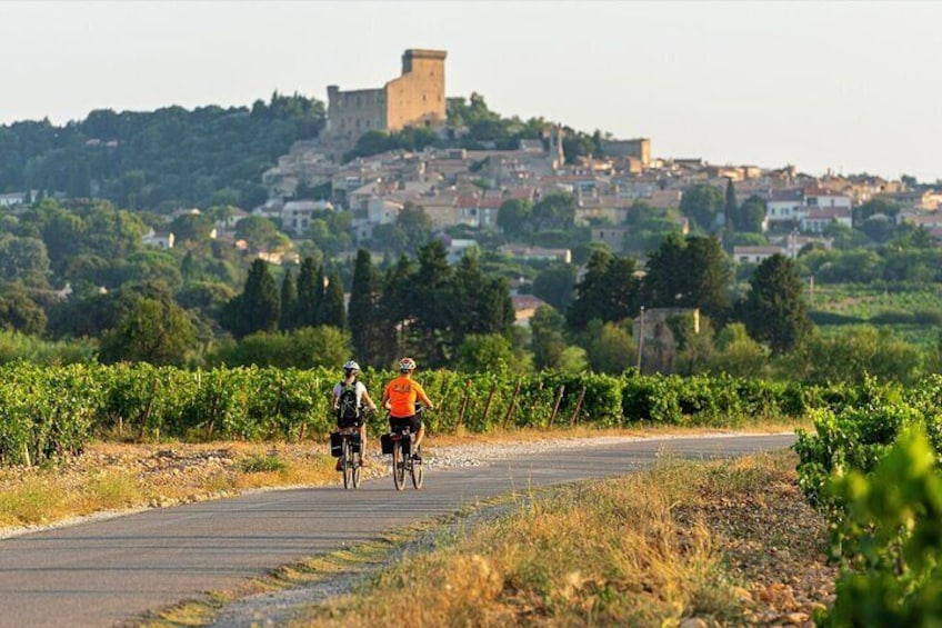 Two cyclists on a road with vineyards and a historic tower in the background. 5