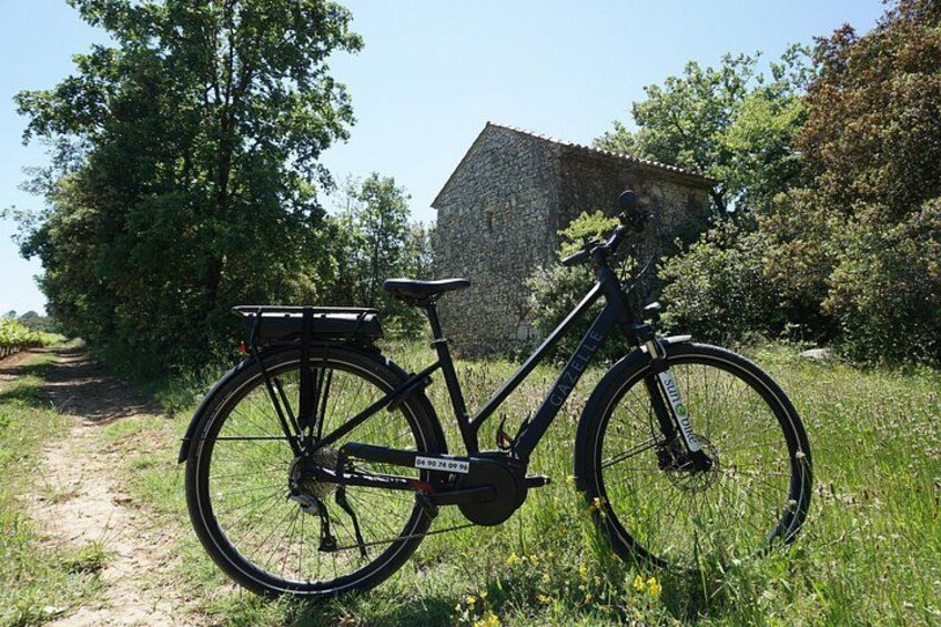 A black bicycle with a basket, parked on a dirt path with grass and trees in the background. 3