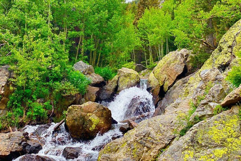 Private Rocky Mountain National Park Tour from Denver 1