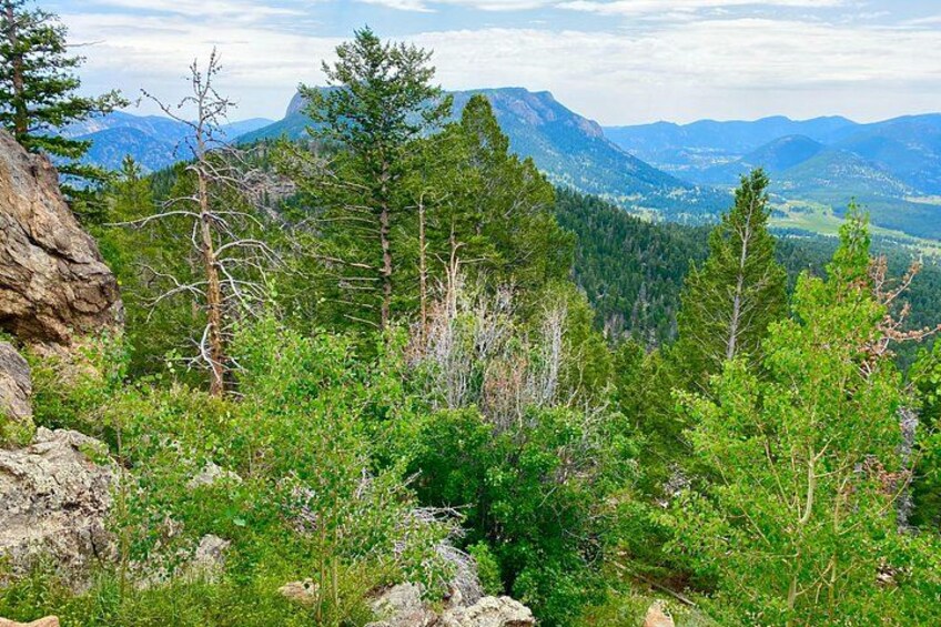 Private Rocky Mountain National Park Tour from Denver 5