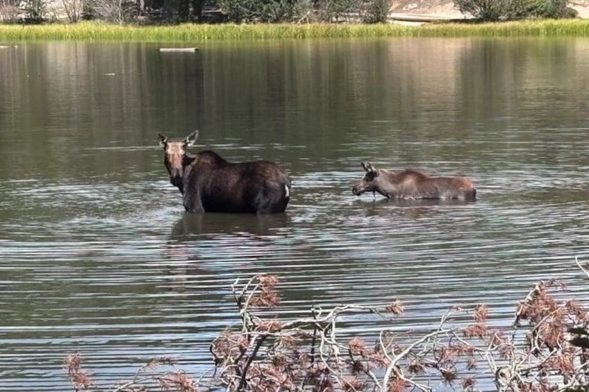 Rocky Mountain National Park Guided Small Group Tour 4