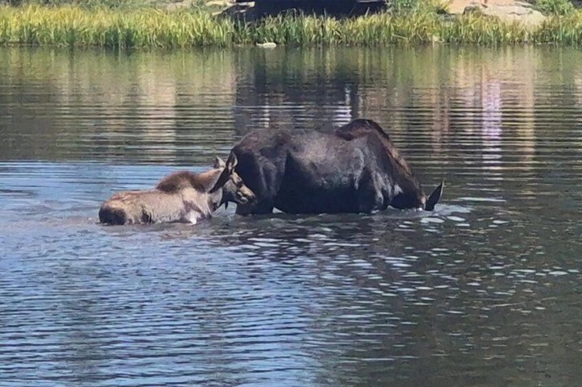Rocky Mountain National Park Guided Small Group Tour 3