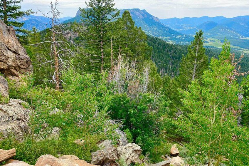 Rocky Mountain National Park Guided Small Group Tour 2