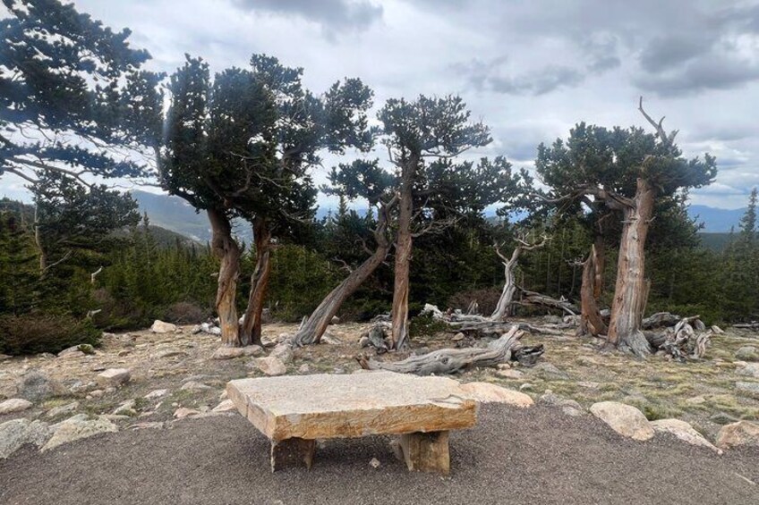 Mount Blue Sky & Red Rocks Tour from Denver 4