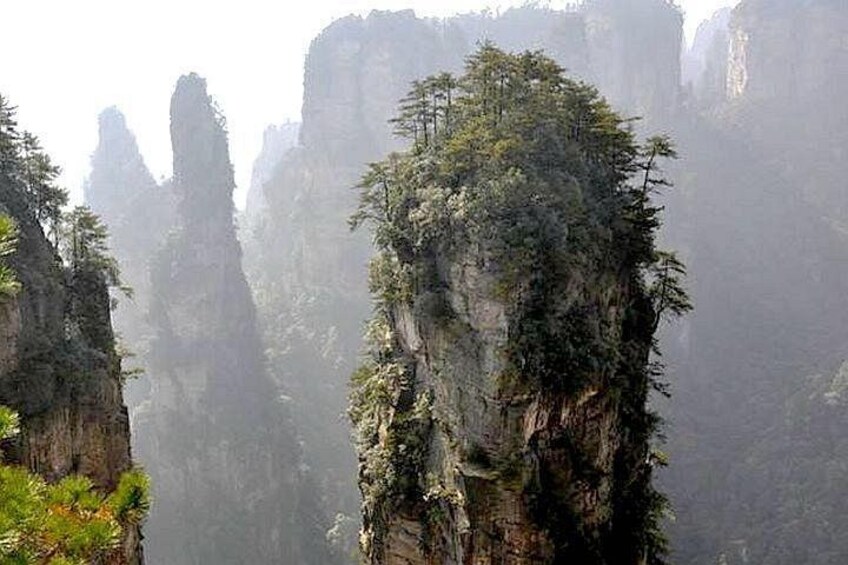 Halellujah Mountain, Zhangjiaije 4