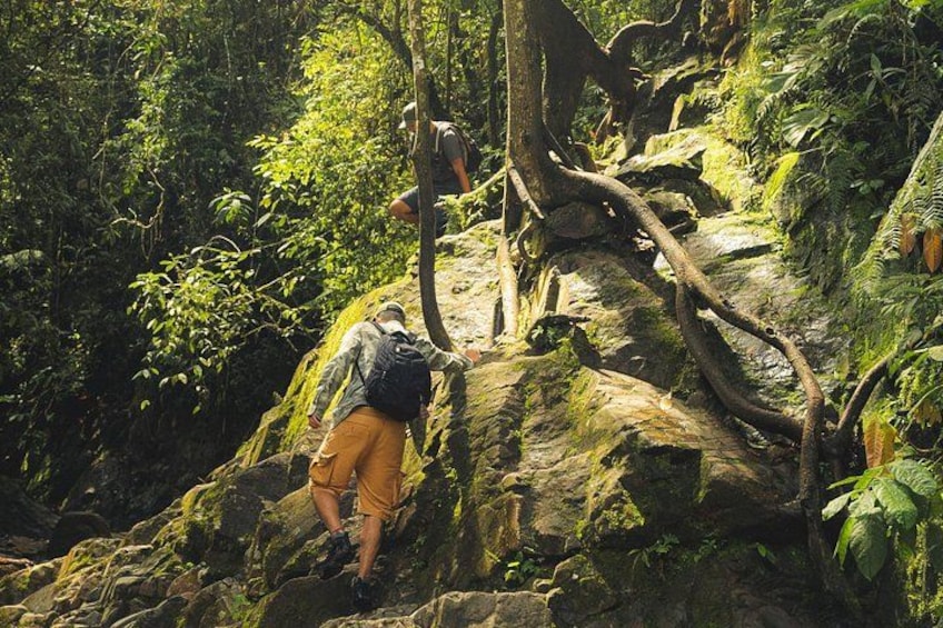 hiking medellin and hidden waterfalls 4