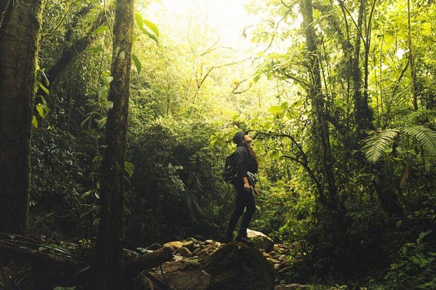 hiking medellin and hidden waterfalls 3