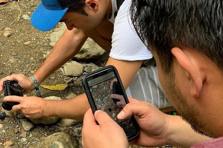hiking medellin and hidden waterfalls 2