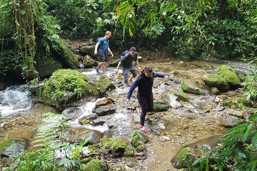 hiking medellin and hidden waterfalls 2