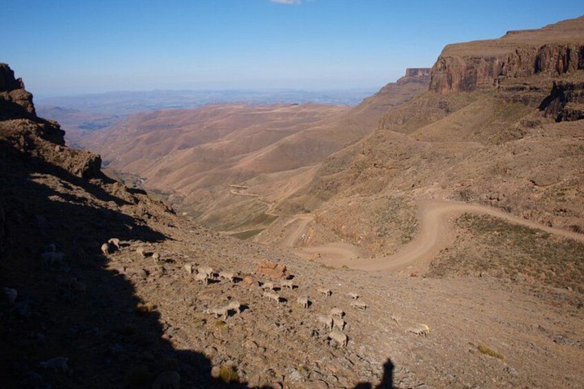 Sani Pass & Lesotho Day Tour from Underberg & Himeville 5