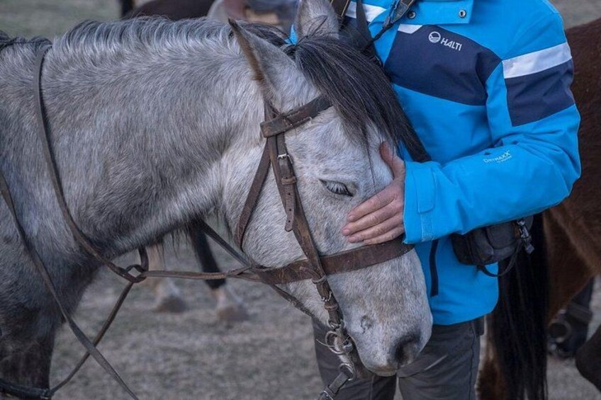 A person in a blue jacket hugging a horse. 4
