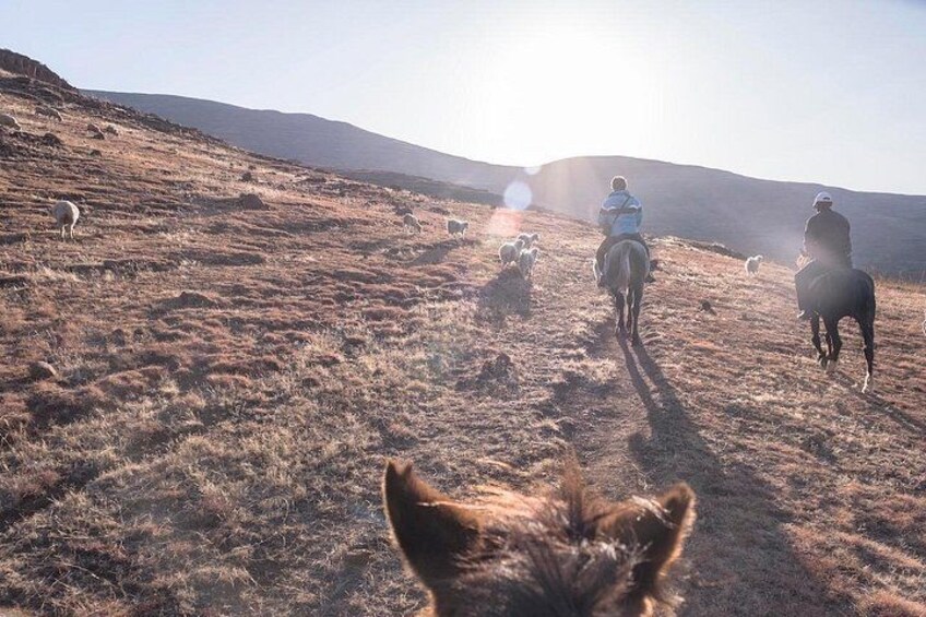 A group of people on horseback in a grassy field with hills in the background. 3