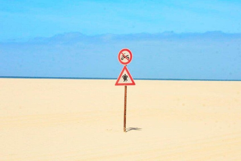 Paisaje desértico con un letrero de advertencia que indica prohibido bañarse y un paso de peatones. 4