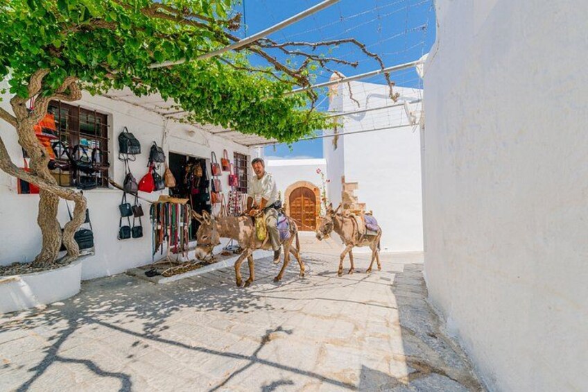 A donkey cart with a person, a tree, and a shop with bags. 5