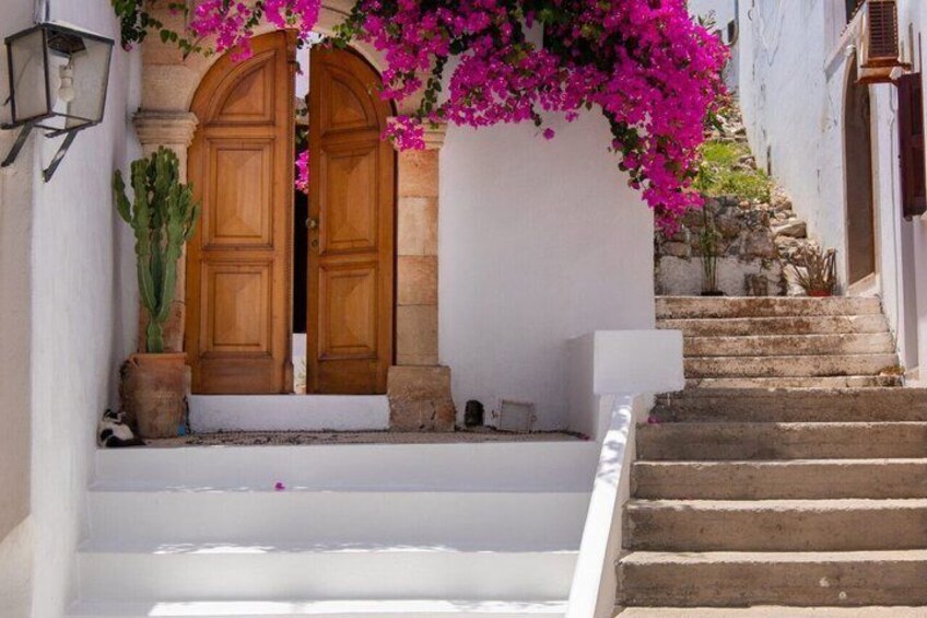 Ein Gebäude mit weißen Wänden, Holztüren, einem Kaktus und pinkfarbenen Bougainvillea-Blüten. 4