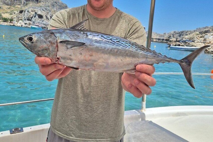 A person holding a fish on a boat with a rocky coastline in the background. 1
