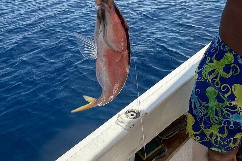 ALL FAMILY FUN: Fishing & Swimming with BBQ on Boat (Small Group) 2