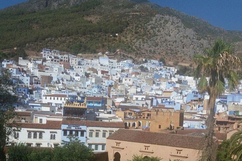 A town with white buildings, a palm tree, and a mountain in the background. 2