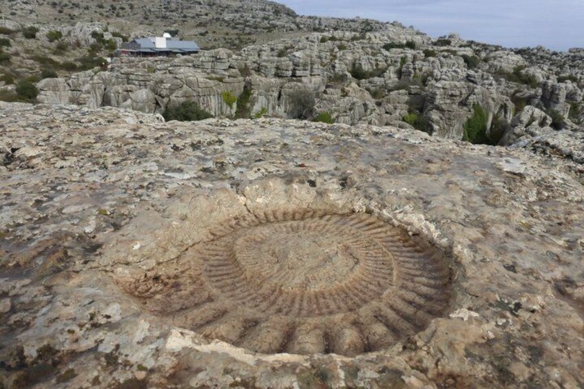 Private Guided Tour to Torcal de Antequera 2