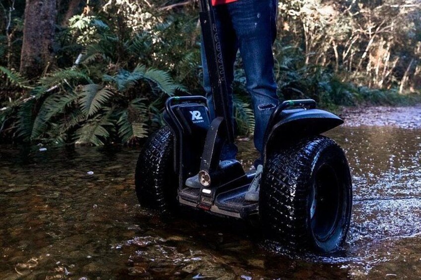 Una persona montando un Segway por un paso poco profundo rodeado de vegetación exuberante. 4