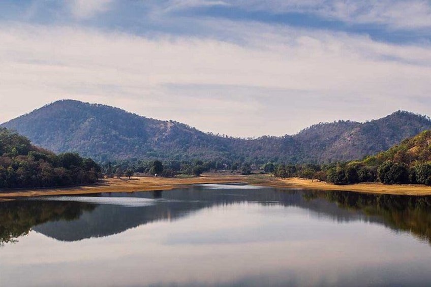 Jambughoda Wildlife & Tribal Tour from Vadodara 1