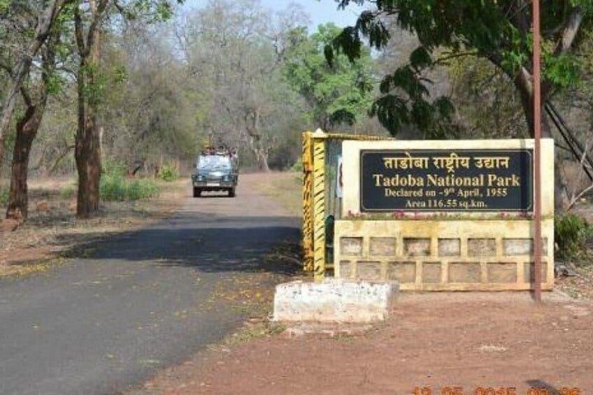A road leading to Tadoba National Park sign with a vehicle in the distance. 2