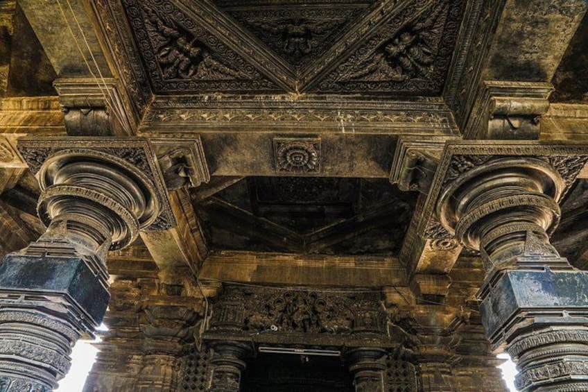Thousand Pillar Temple, Warangal Fort & Ramappa Temple Tour 4