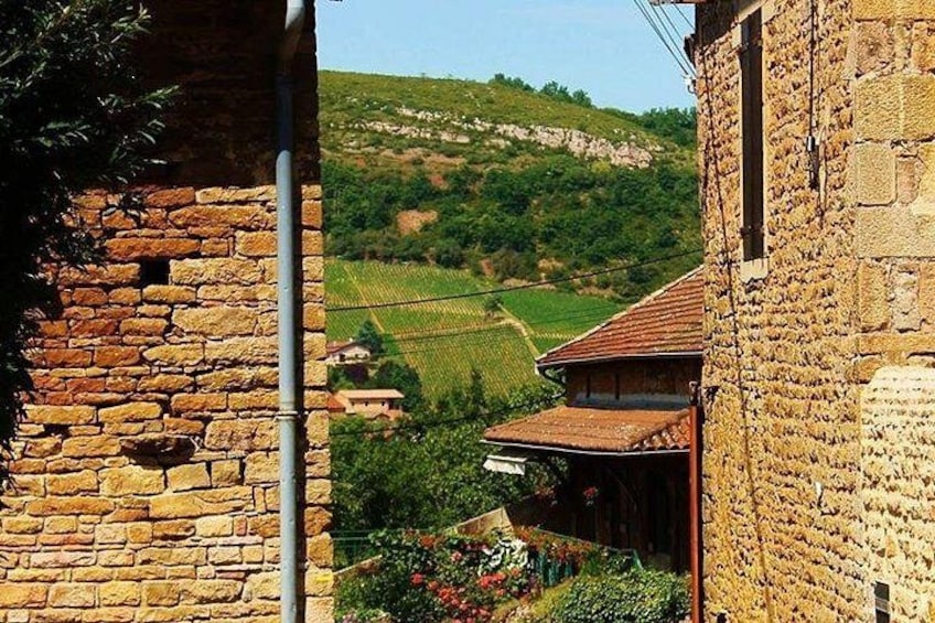 Un bâtiment en pierre avec un toit en tuiles, un mur en briques et, en arrière-plan, une colline parsemée de vignes. 1