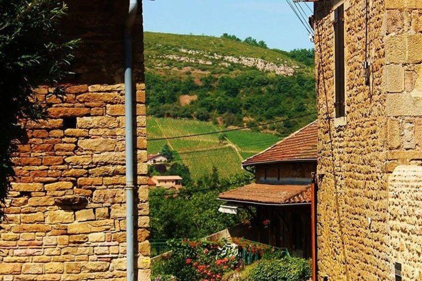 Beaujolais wine tour from Lyon half day 1